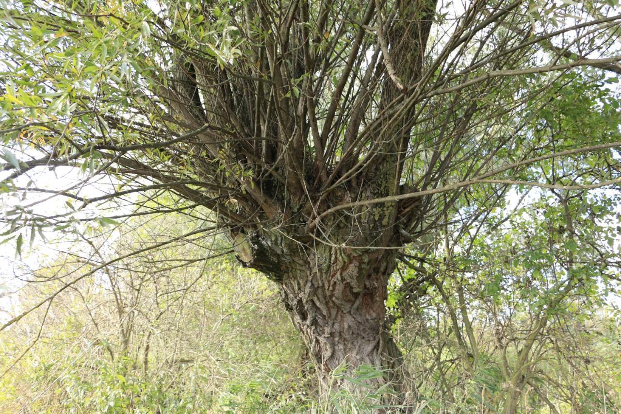 Agroturystyka Zulawiaczek Новы-Двур-Гданьский Экстерьер фото
