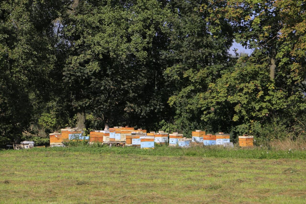 Agroturystyka Zulawiaczek Новы-Двур-Гданьский Экстерьер фото